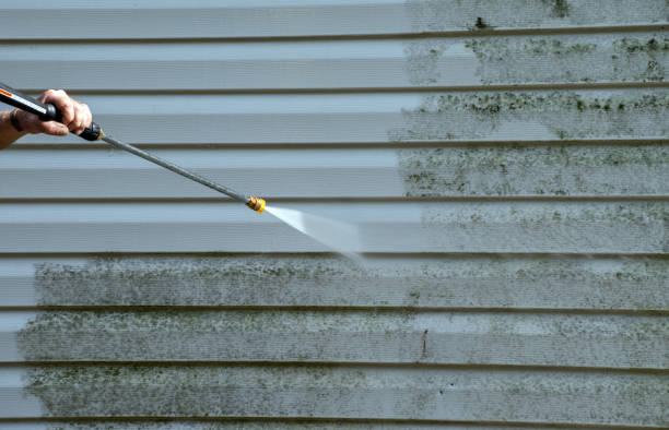 Professional Pressure Washing in Mount Dora, FL