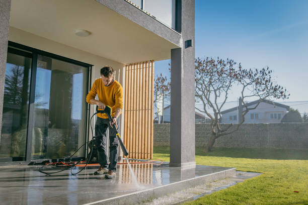 Best Building Exterior Washing  in Mount Dora, FL
