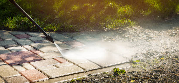 Best Dumpster Area Cleaning  in Mount Dora, FL